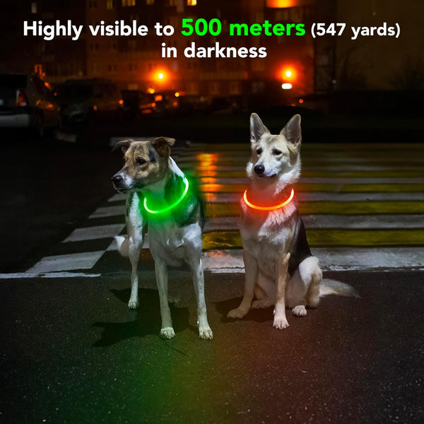 GlowGuard™ — Rechargeable LED Dog Collar feature