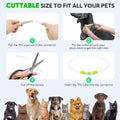 GlowGuard™ — Rechargeable LED Dog Collar
