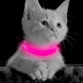 BrightBark™ — LED Light-Up Dog Collar