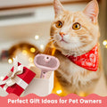 PawGroom™ — 3-In-1 Steam Grooming Brush