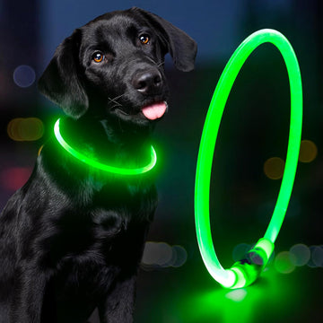 Led Dog Collar - Waterproof Lighted Pet Collar Rechargeable, TPU Cuttable Light up Doggie Collar for Small, Medium, Large Dogs Night Walking (Green)