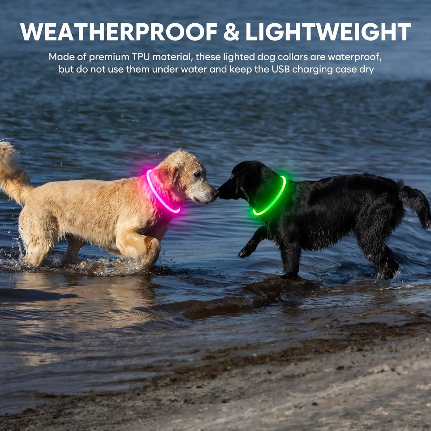 Led Dog Collar - Waterproof Lighted Pet Collar Rechargeable, TPU Cuttable Light up Doggie Collar for Small, Medium, Large Dogs Night Walking (Green)