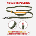 PawStride™ — Hands-Free Dual Dog Leash