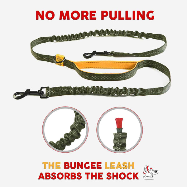 PawStride™ — Hands-Free Dual Dog Leash feature 2
